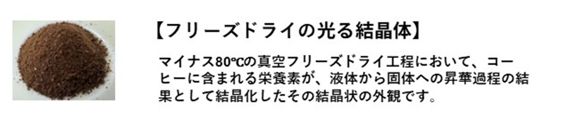 焙煎の工程
