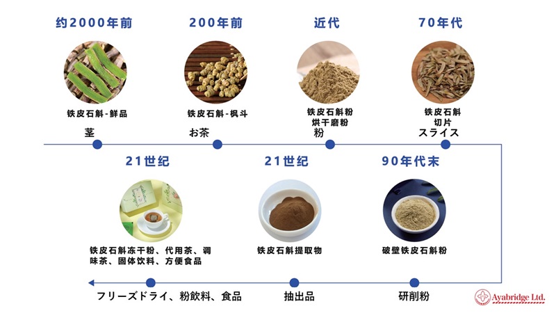 鉄皮石斛の原植物